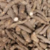 Manioc Frais – Variété VILY