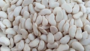 Pois du Cap Blanc