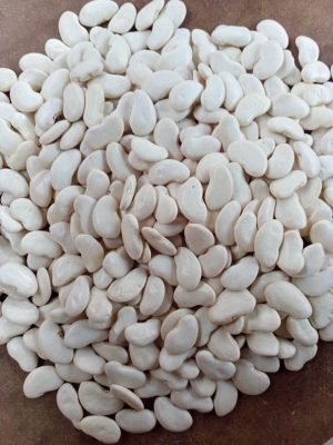 Pois du Cap Blanc