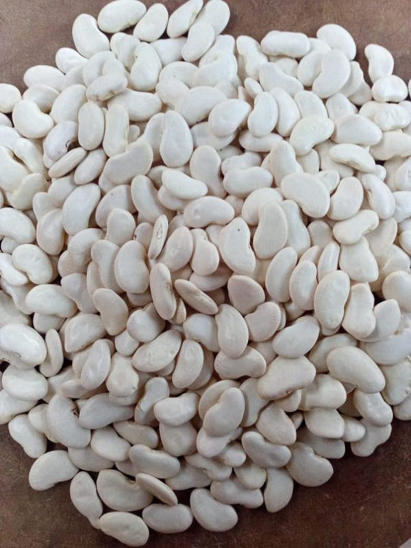Pois du Cap Blanc