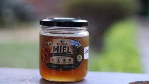 Miel de la foret d'Ankarana (Ambilobe)