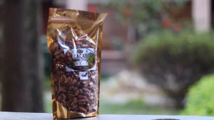 Cacao (Vohémar)