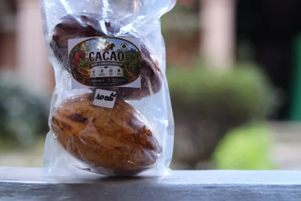 Cacao (Vohémar)