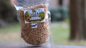 Soja (Vohémar)