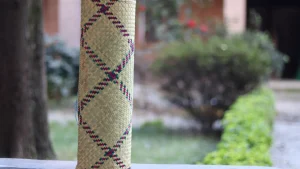 Fandambanana (Ambia)