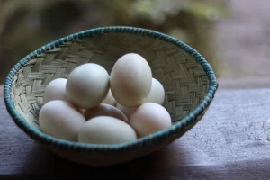 Œuf de canard (Ankarinarivo)