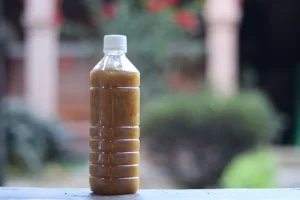 Achards de citron frais sans piment (Analalava)