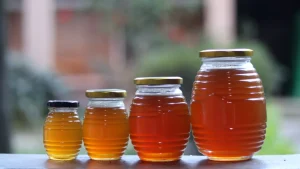 Miel palissandre pur 100% naturel (Analalava)