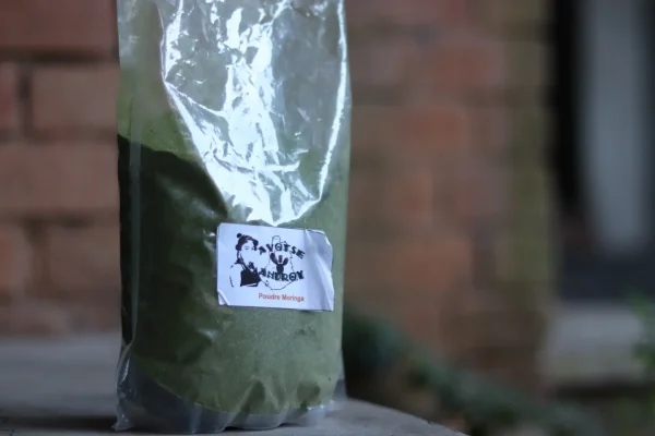Moringa en poudre (Ambovombe)