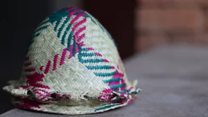 Satro-bory (Maroalomainty)